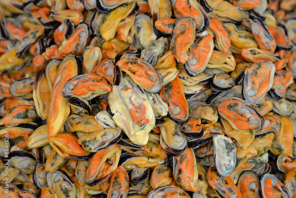 Fresh mussels background