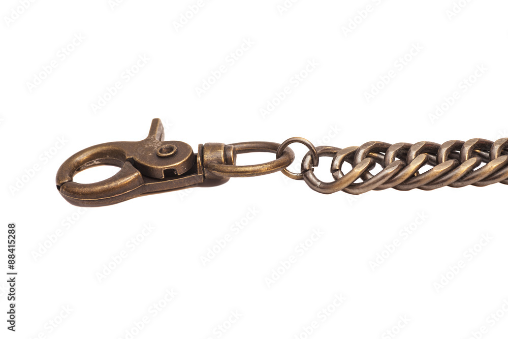 Obraz premium metal chain part on white background