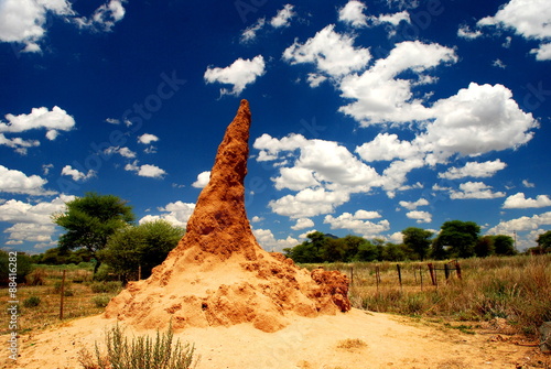 Termite mound. Otjiwarongo. Namibia