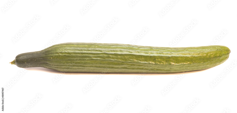 Cucumber isolated on white background Cucumber isolated on white background