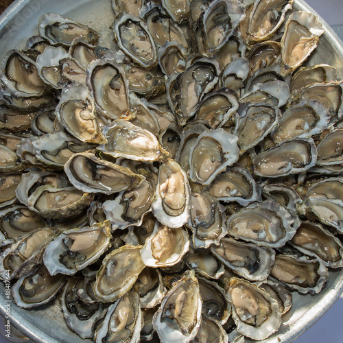 Fresh oysters at a French market