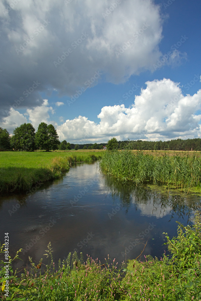 Poland.Chocina river in summer.Vertical view