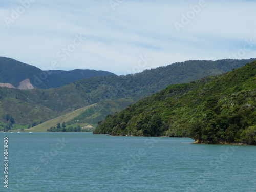 Bootstour durch die Marlborough Sounds, Südinsel Neuseeland