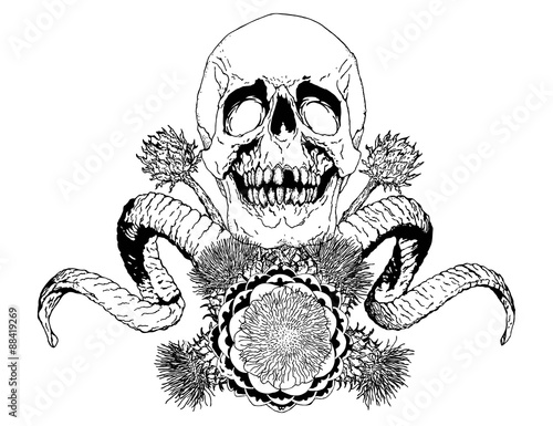 Skull, horns and flowers