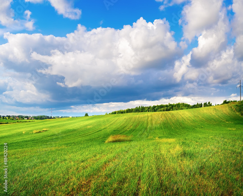 Field of grass and cloudy sky © Veresovich