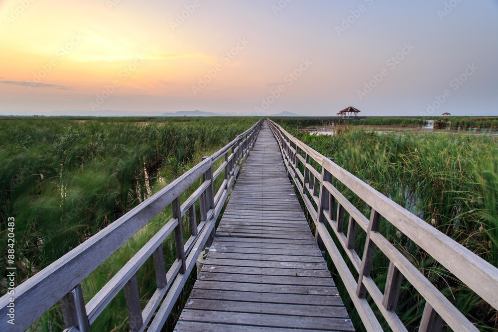 Wooden bridge cross around marsh in sunset time at Sam Roi Yot National Park,Thailand Wooden bridge cross around marsh in sunset time at Sam Roi Yot National Park,Thailand