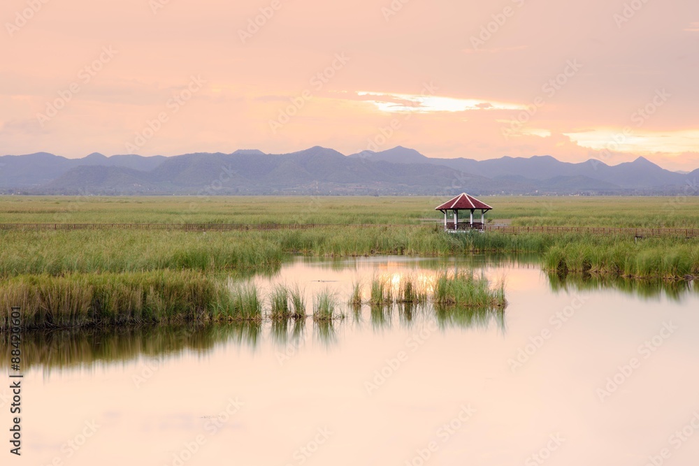 Fototapeta premium Wooden bridge cross around marsh in sunset time at Sam Roi Yot National Park,Thailand
