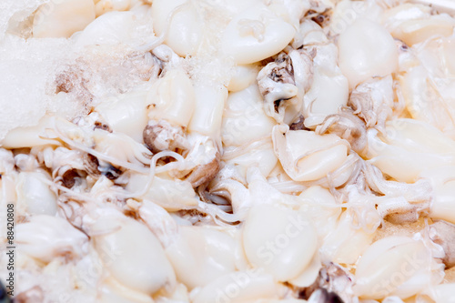 Fresh squid heap close up at the seafood market