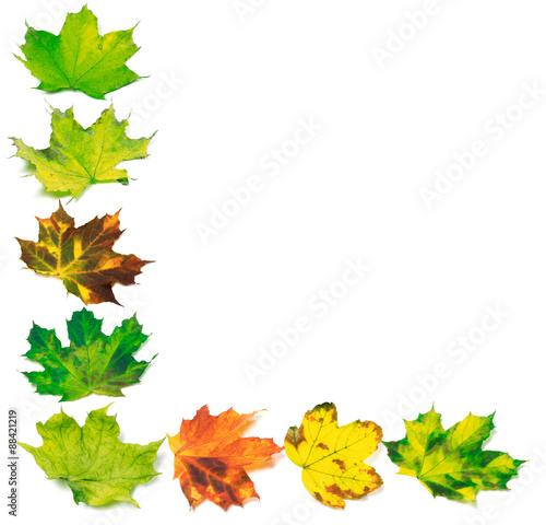 Letter L composed of multicolor maple leafs