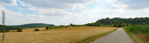 Farmland panorama