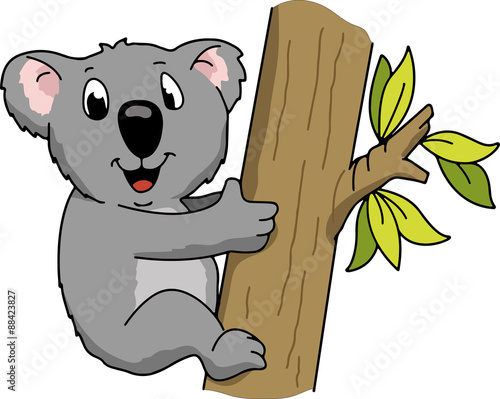 Koala am Baum