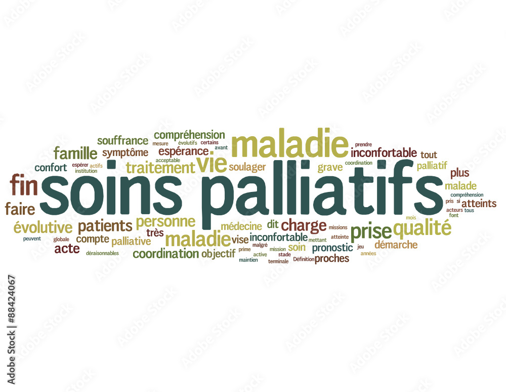 Soins palliatifs (hospice, hôpital)