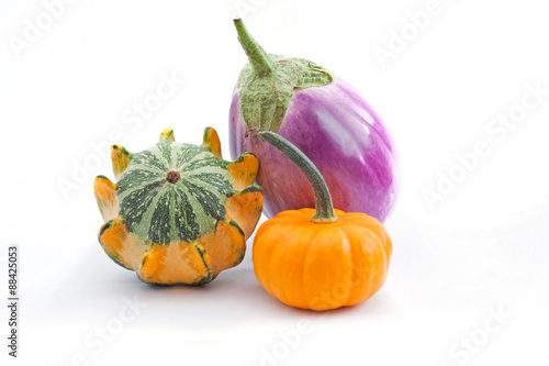 two squash and eggplant on a white background