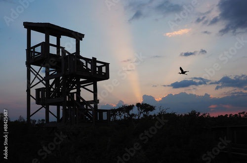 Sunset and Silhouette of the Observation Tower