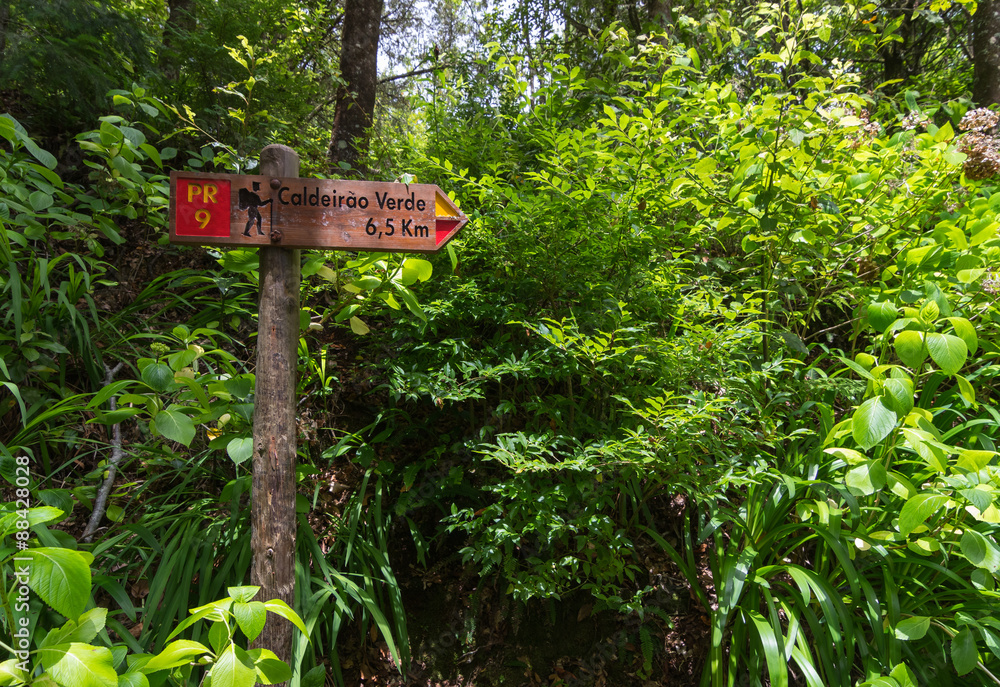 Touristic signpost for levada walk in Madeira