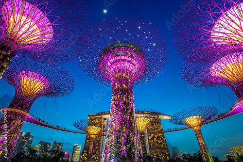 Canvas Print Supertrees at Gardens by the Bay