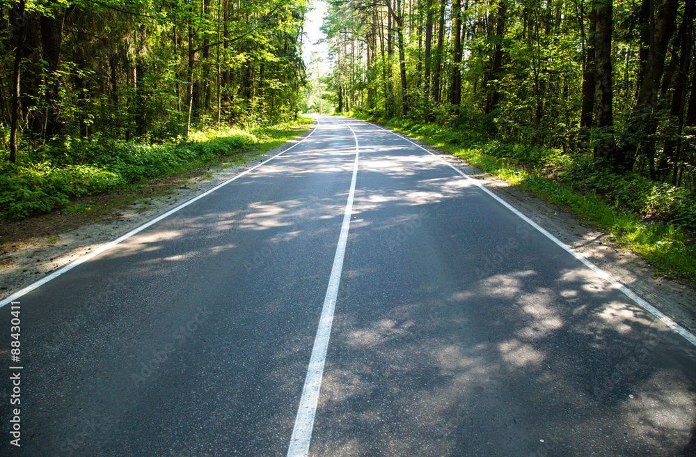 Obraz premium The road in the woods