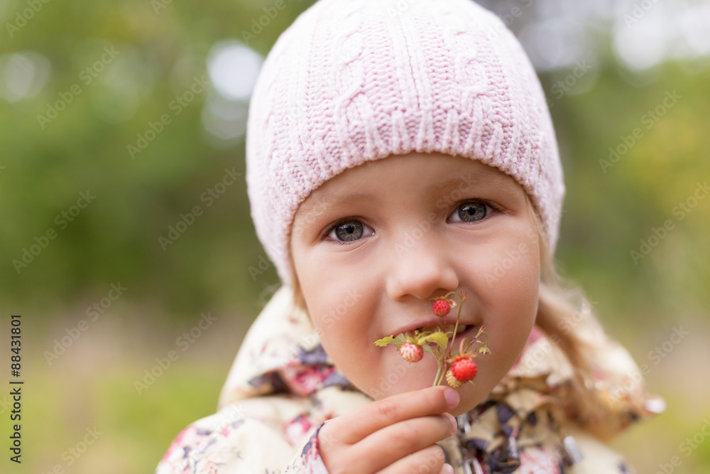 child eating fun wild strawberry twig holding hand shallow DOF child eating fun wild strawberry twig holding hand shallow DOF