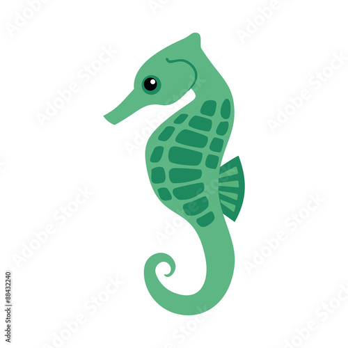 seahorse on a white background