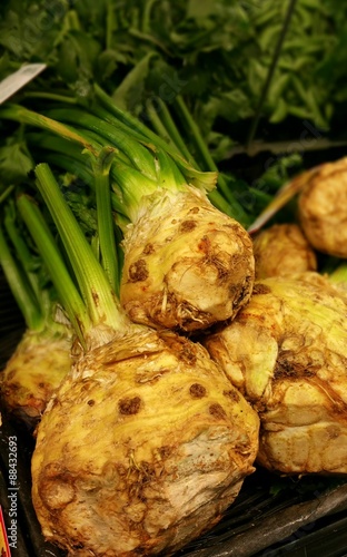 Celery Root at a produce stand