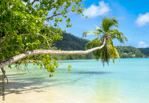 Fototapeta Naklejka Na Ścianę i Meble -  Beautiful tropical beach in Seychelles