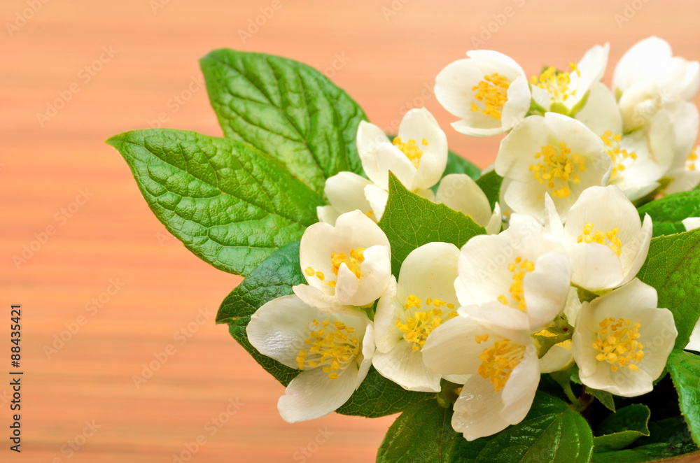 Naklejka premium Jasmine flower bouquet on wood