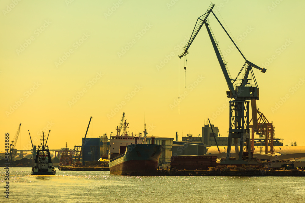 heavy load dockside cranes