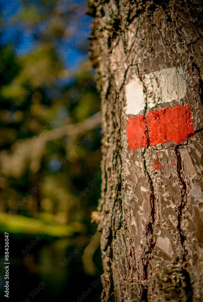 Señal o marca sendero de largo recorrido GR