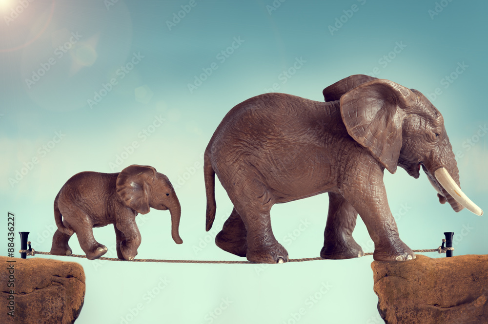 Fototapeta premium mother and baby elephant on a tightrope