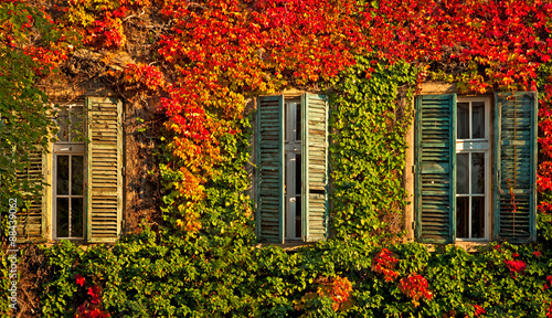 Fototapeta Naklejka Na Ścianę i Meble -  Windows at autumn