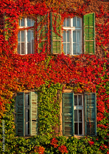 Windows at autumn