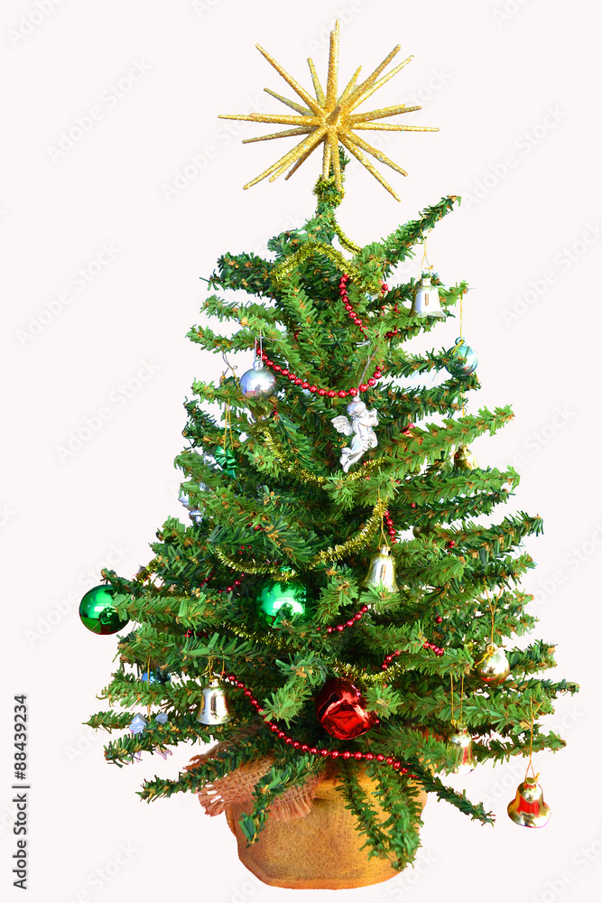Fototapeta premium Small Christmas Tree - Isolated