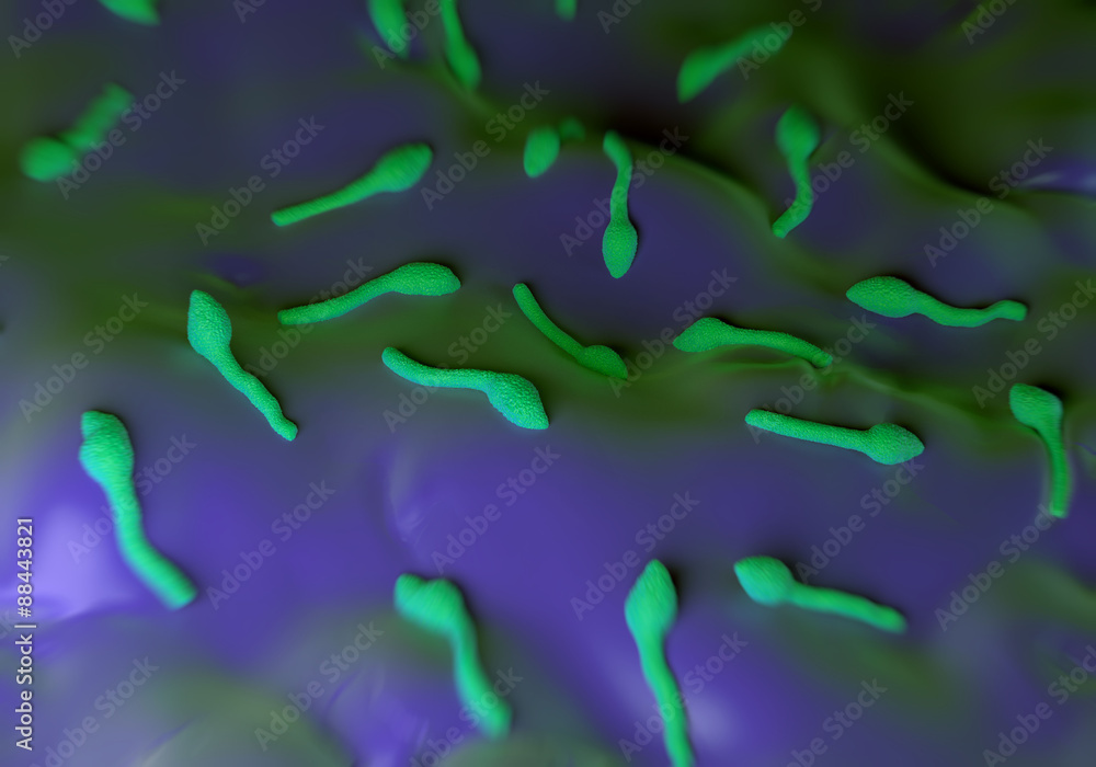 Clostridium tetani bacterium ilustração do Stock | Adobe Stock