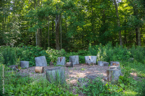 Circle of cut logs for visitors, campers to sit together in a nature area 