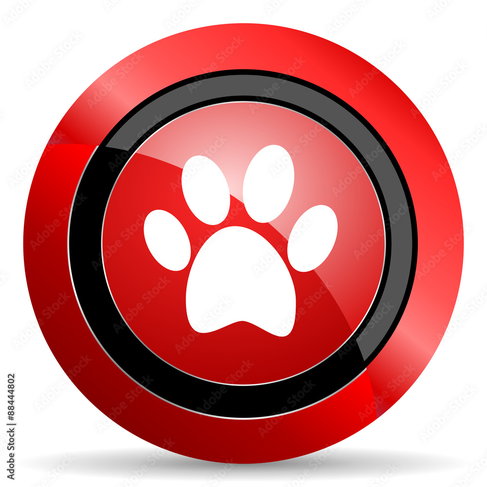 foot red glossy web icon foot red glossy web icon