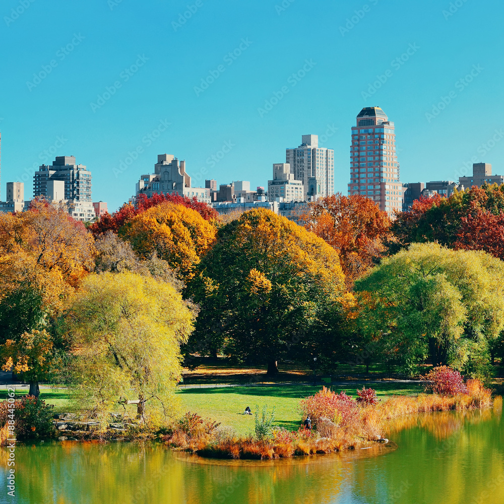 Fototapeta premium Central Park Autumn