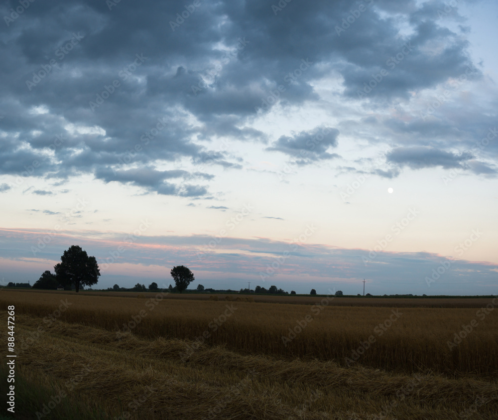 Naklejka premium clouds