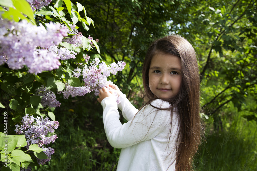 cute little brunette girl, dressed in a white shirt , she holds a blossoming branch of lilac in her hands cute little brunette girl, dressed in a white shirt , she holds a blossoming branch of lilac in her hands