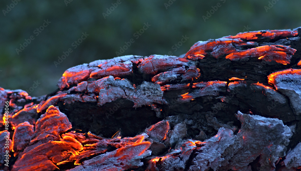 Beautiful log smoldering in the fire.