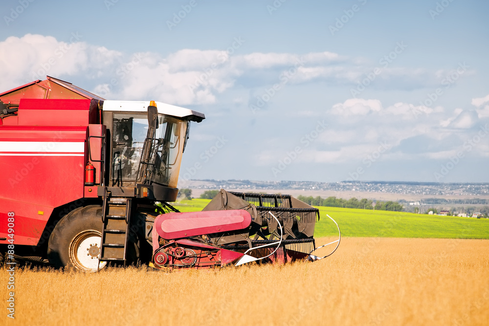 Fototapeta premium combine harvester