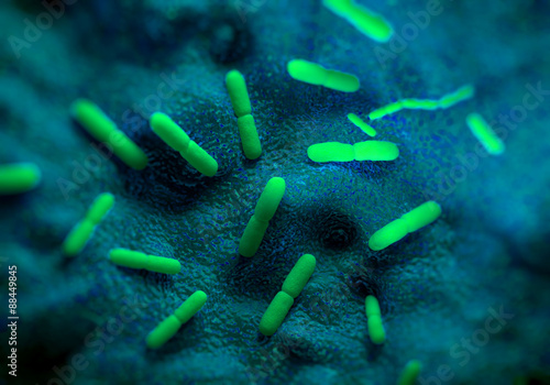 Yersinia pestis bacteria, artwork