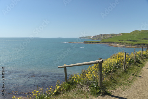 View over Kimmeridge Bay, Dorset photo