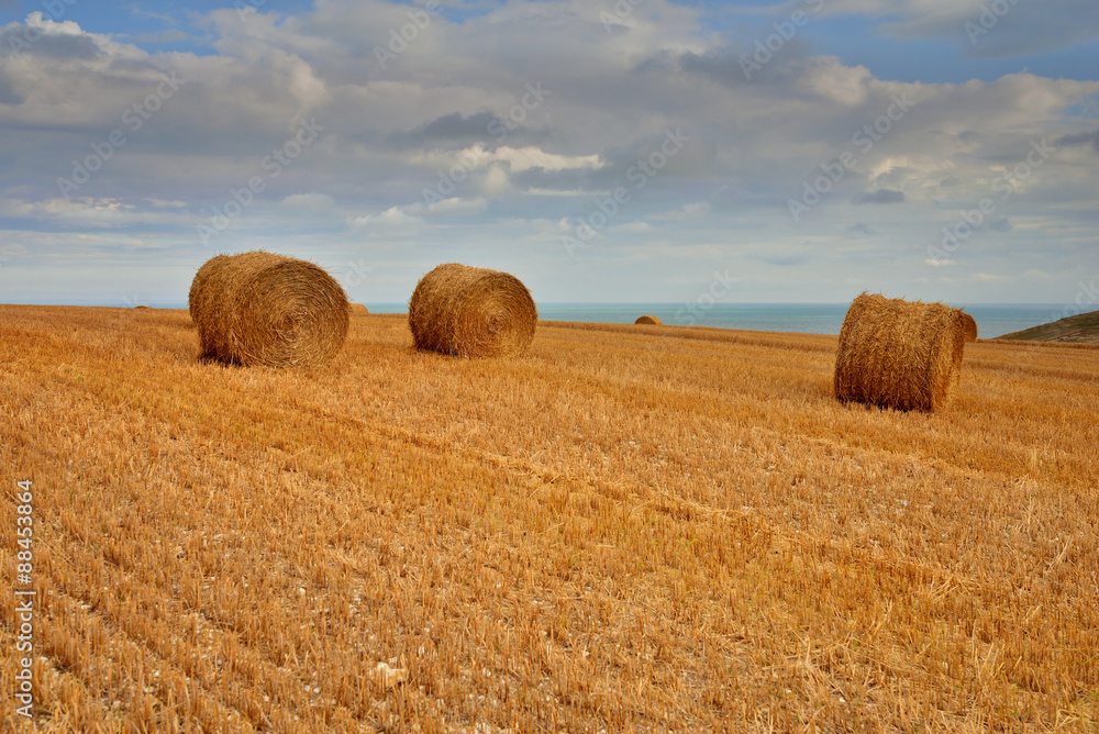 soir après la moisson