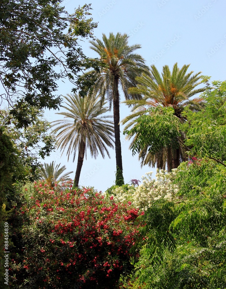 mediterrane Pflanzenvielfalt