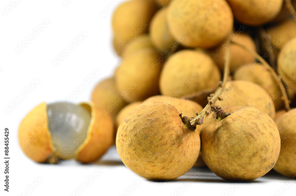 Longan, Dimocarpus longan, Family Sapindaceae, Thailand Longan, Dimocarpus longan, Family Sapindaceae, Thailand