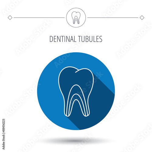 Dentinal tubules icon. Tooth medicine sign.