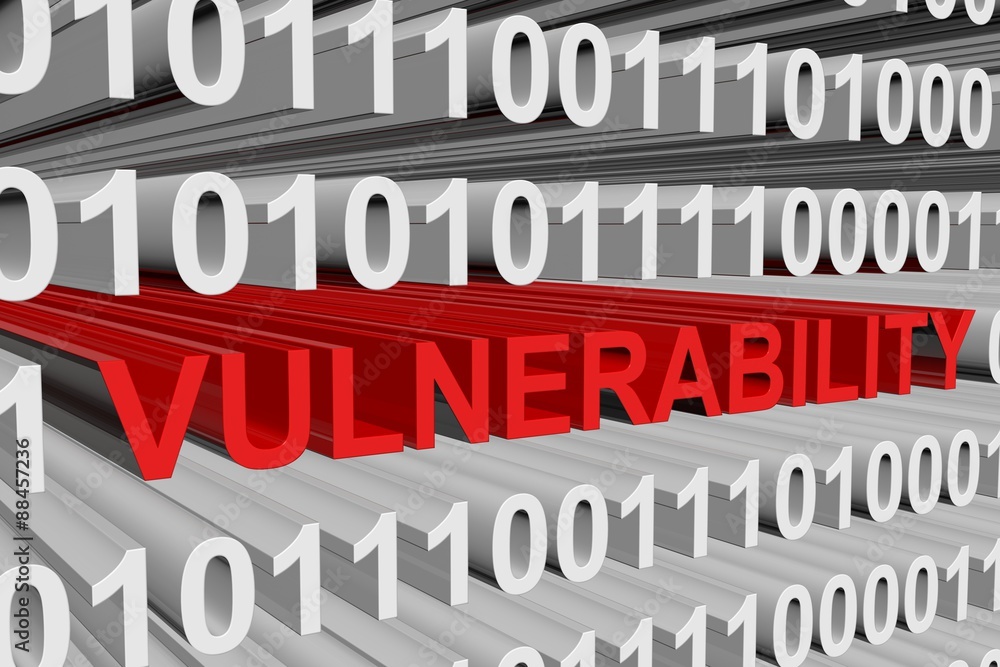 the vulnerability data is presented in the form of binary code the vulnerability data is presented in the form of binary code