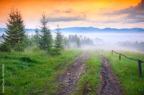 Old dirty road in foggy Carpathian mountains.