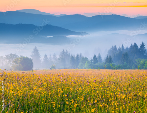Colorful summer sunrise in the foggy Carpathian mountains