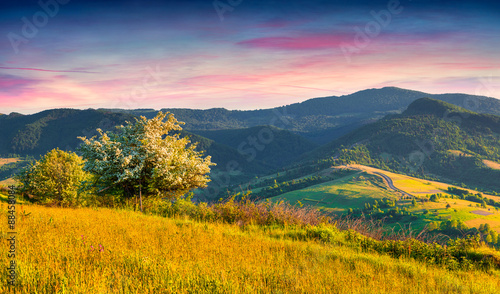 Colorful summer sunrise in the Carpathian mountains with blossom © Andrew Mayovskyy